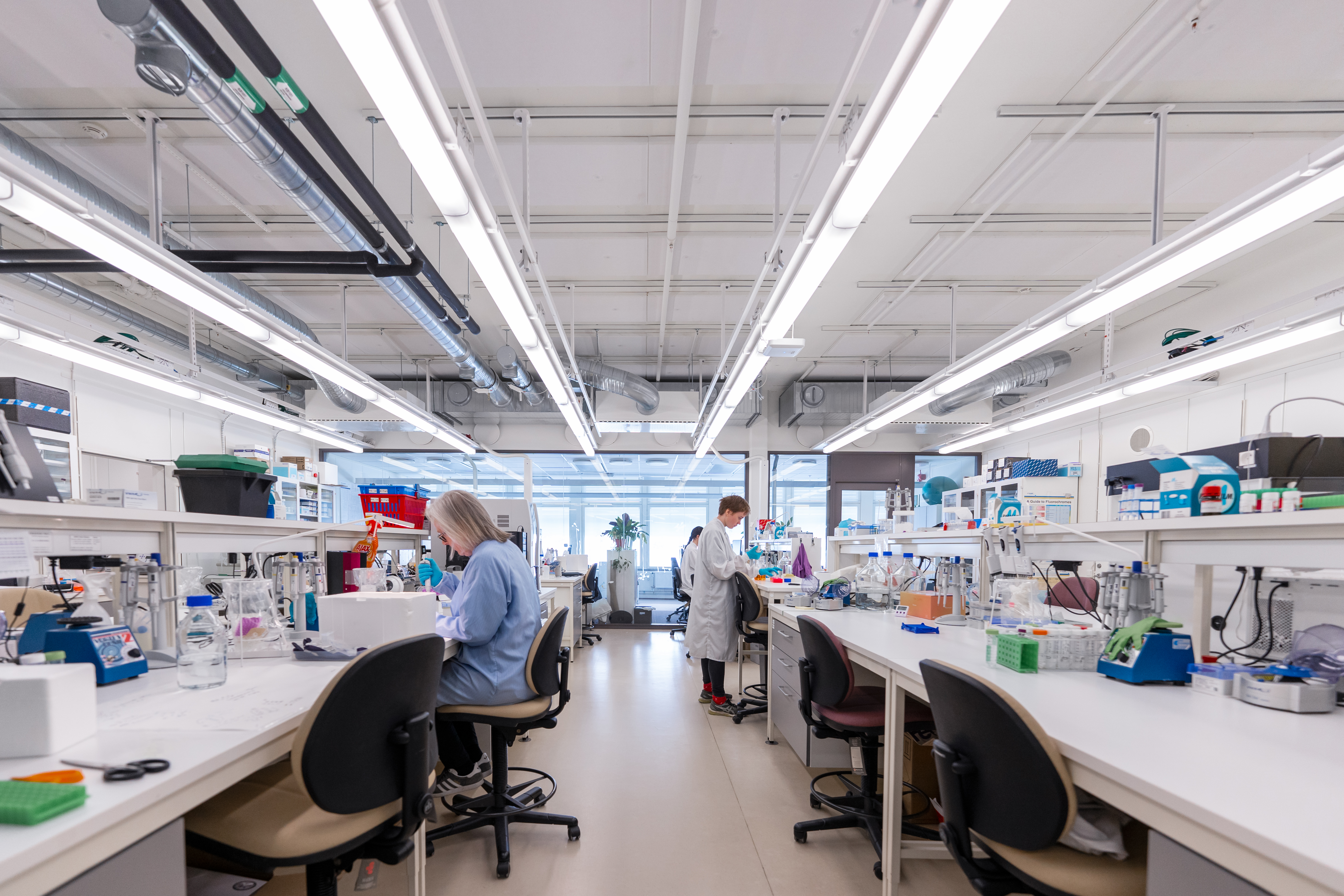 Image or researchers working in a lab